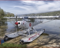 TSR Watermark - 0277